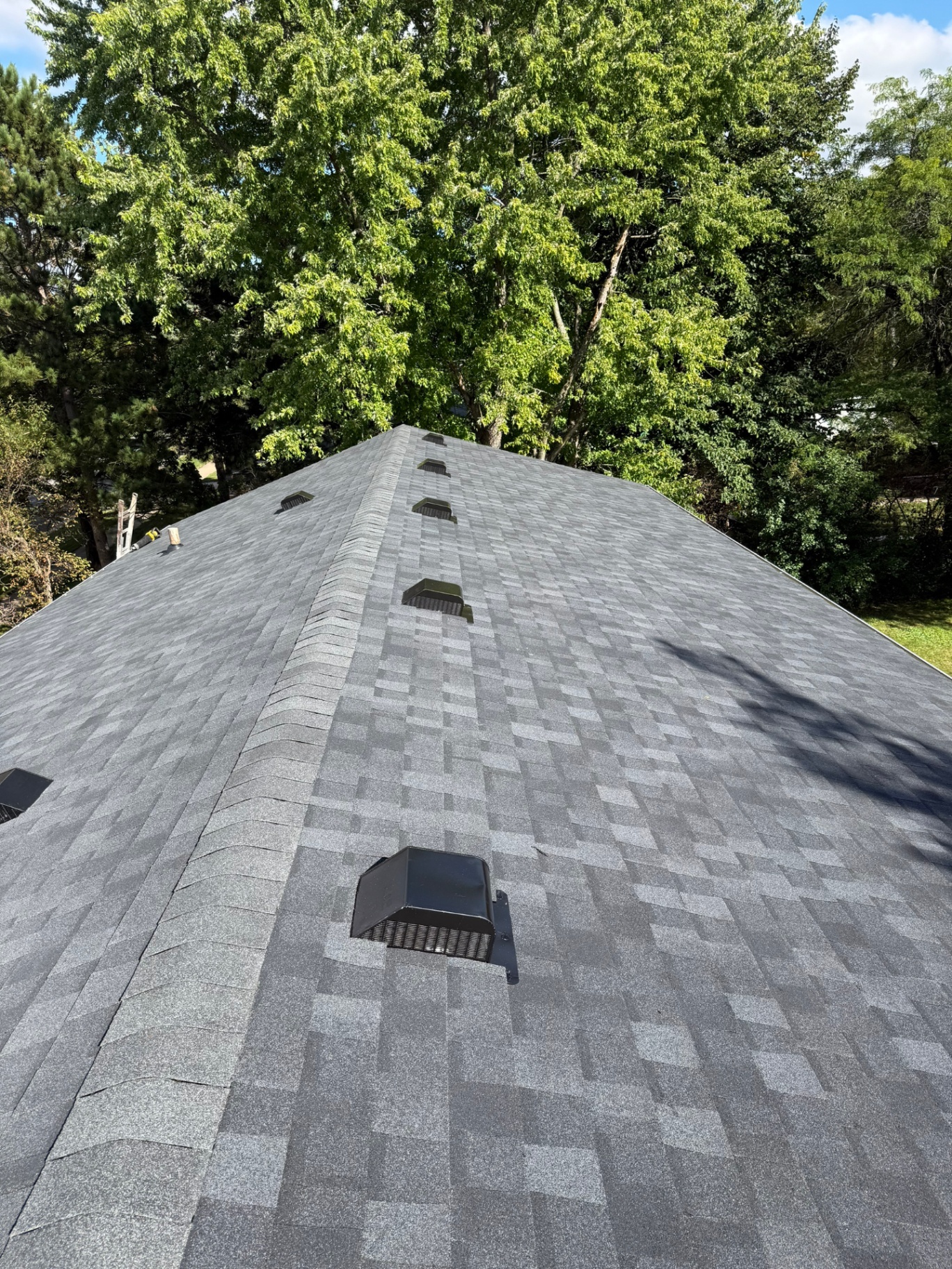 New architectural shingle roof with ridge vent and black roof vents, surrounded by green trees